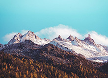 崔·贝克称 AI 革命是“一件好事”,但原因并非如你所想。